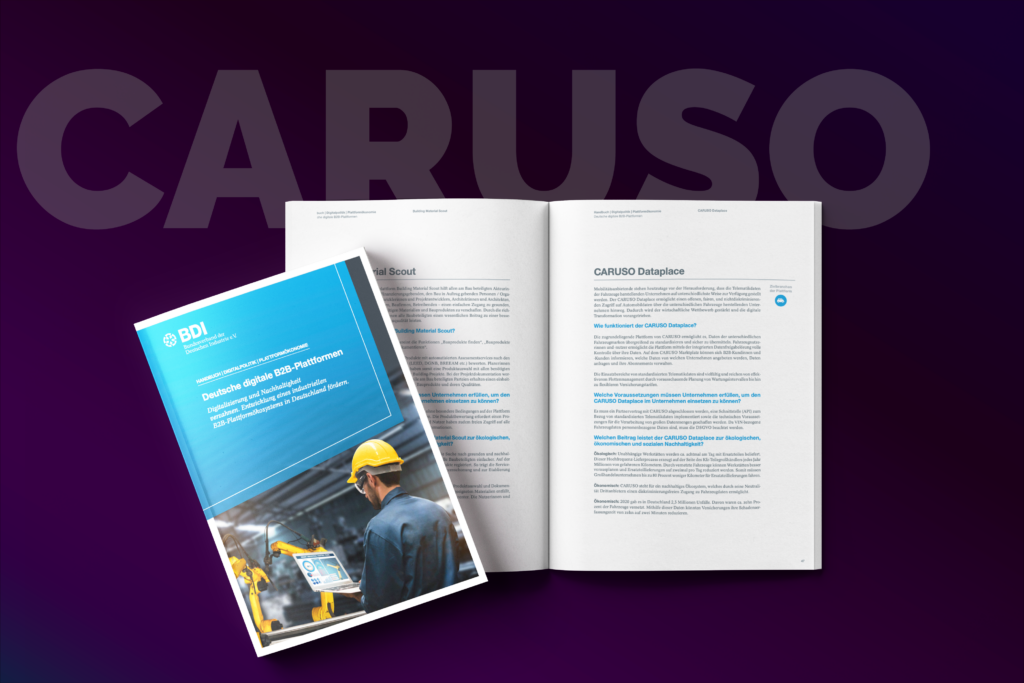 KW47_CARUSO_part_of_BDI_Publication