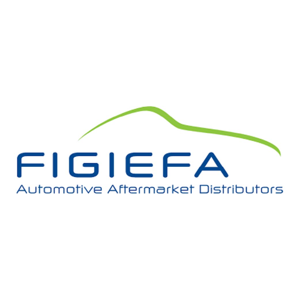 FIGIEFA CVFT 5.0